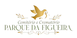 parque_figueira-removebg-preview-gigapixel-art-scale-0_50x